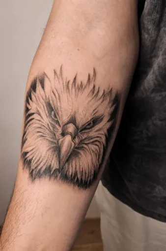Tatouage aigle réalisme noir et gris