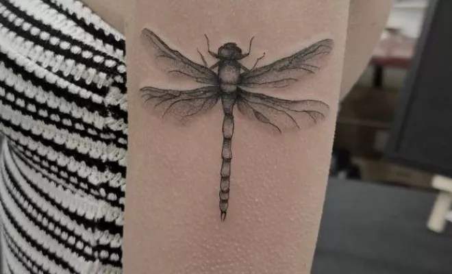 Tatouage frais, Cannes, Alabama Knox Tatoo