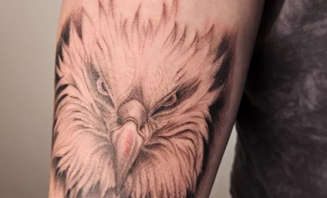 Tatouage Aigle, Cannes, Alabama Knox Tattoo